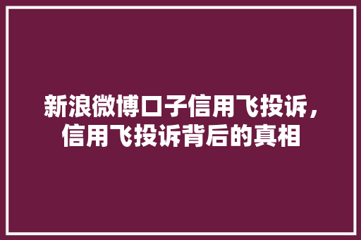 新浪微博口子信用飞投诉，信用飞投诉背后的真相