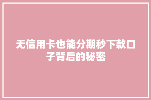 无信用卡也能分期秒下款口子背后的秘密