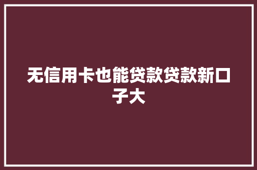 无信用卡也能贷款贷款新口子大