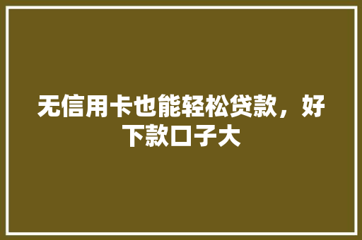 无信用卡也能轻松贷款，好下款口子大  第1张