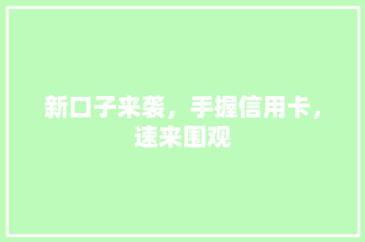新口子来袭，手握信用卡，速来围观