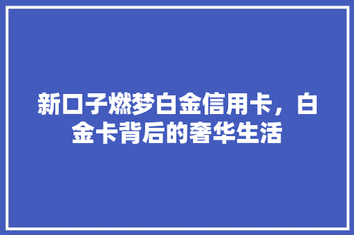 新口子燃梦白金信用卡，白金卡背后的奢华生活