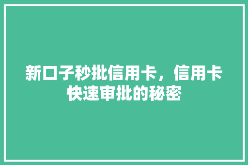 新口子秒批信用卡，信用卡快速审批的秘密