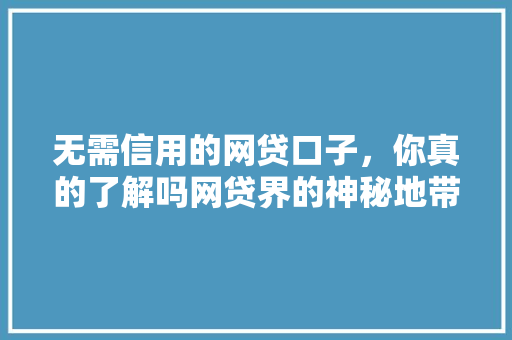 无需信用的网贷口子，你真的了解吗网贷界的神秘地带