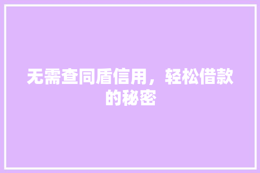 无需查同盾信用，轻松借款的秘密