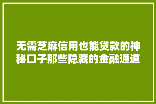 无需芝麻信用也能贷款的神秘口子那些隐藏的金融通道