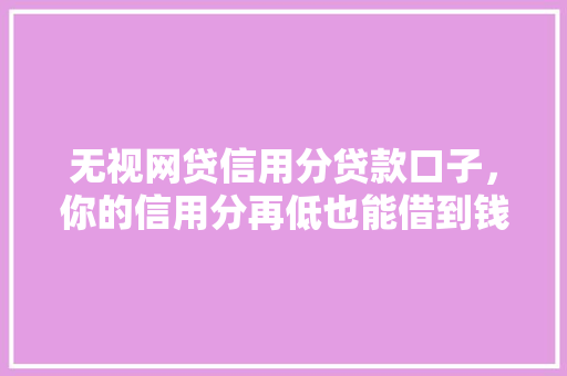 无视网贷信用分贷款口子，你的信用分再低也能借到钱的秘密