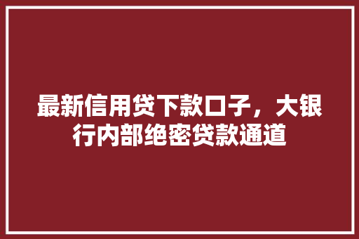 最新信用贷下款口子，大银行内部绝密贷款通道