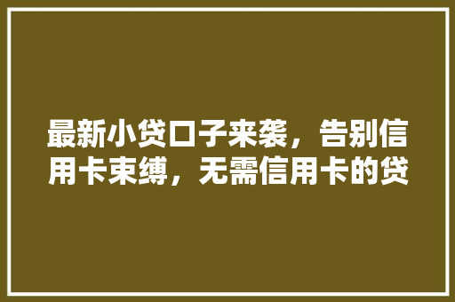 最新小贷口子来袭，告别信用卡束缚，无需信用卡的贷款秘密