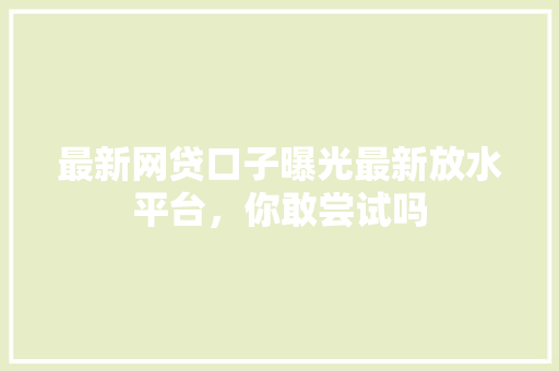 最新网贷口子曝光最新放水平台，你敢尝试吗