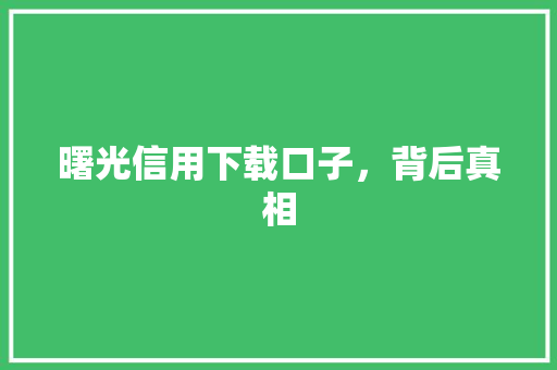 曙光信用下载口子，背后真相
