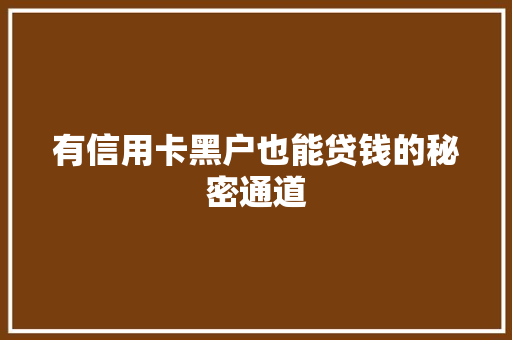 有信用卡黑户也能贷钱的秘密通道