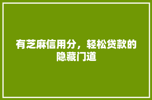有芝麻信用分，轻松贷款的隐藏门道