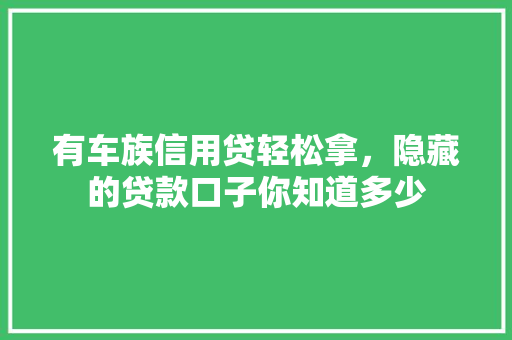 有车族信用贷轻松拿，隐藏的贷款口子你知道多少