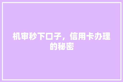机审秒下口子，信用卡办理的秘密