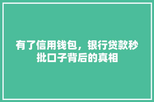 有了信用钱包，银行贷款秒批口子背后的真相