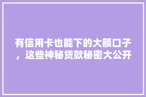 有信用卡也能下的大额口子，这些神秘贷款秘密大公开