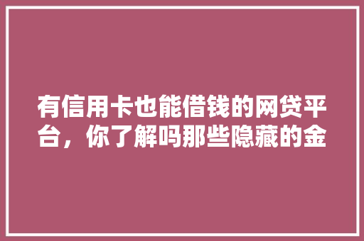有信用卡也能借钱的网贷平台，你了解吗那些隐藏的金融利器