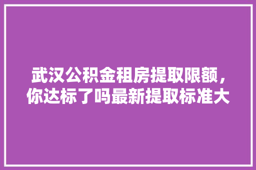 武汉公积金租房提取限额，你达标了吗最新提取标准大