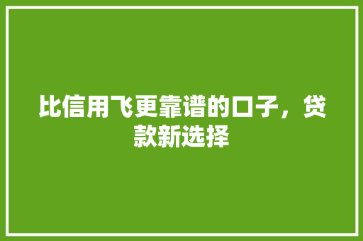 比信用飞更靠谱的口子，贷款新选择