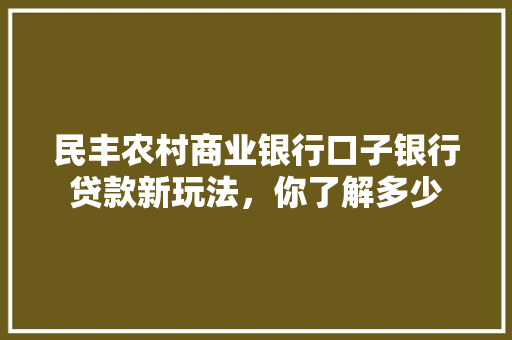 民丰农村商业银行口子银行贷款新玩法，你了解多少