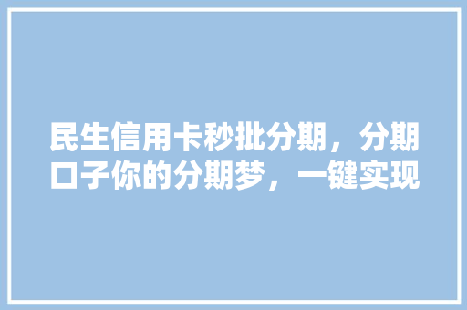 民生信用卡秒批分期，分期口子你的分期梦，一键实现