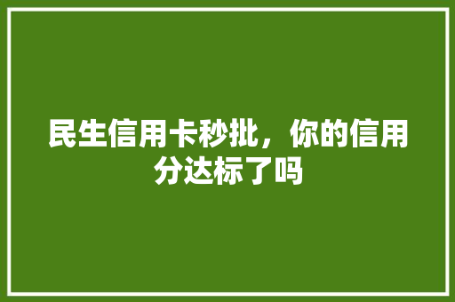 民生信用卡秒批，你的信用分达标了吗