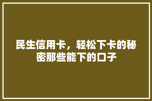 民生信用卡，轻松下卡的秘密那些能下的口子
