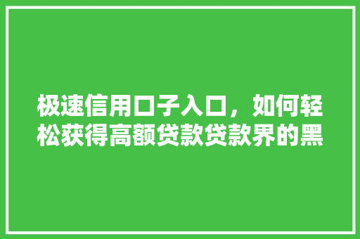 极速信用口子入口，如何轻松获得高额贷款贷款界的黑科技