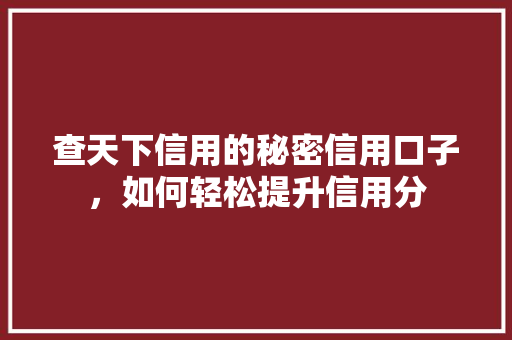 查天下信用的秘密信用口子，如何轻松提升信用分
