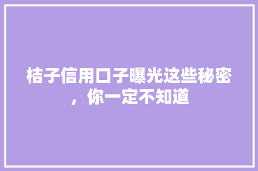 桔子信用口子曝光这些秘密，你一定不知道
