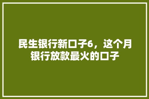 民生银行新口子6，这个月银行放款最火的口子