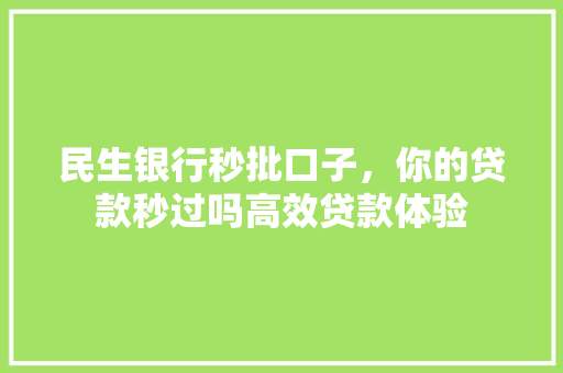 民生银行秒批口子，你的贷款秒过吗高效贷款体验