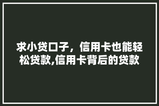 求小贷口子，信用卡也能轻松贷款,信用卡背后的贷款秘密