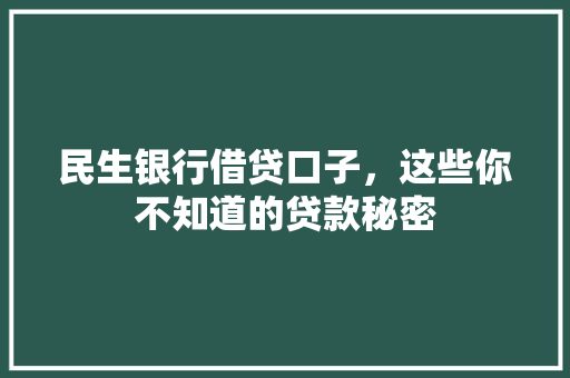 民生银行借贷口子，这些你不知道的贷款秘密