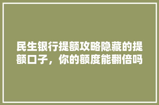 民生银行提额攻略隐藏的提额口子，你的额度能翻倍吗